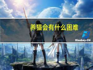 养猫会有什么困难