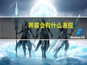 养猫会有什么表现