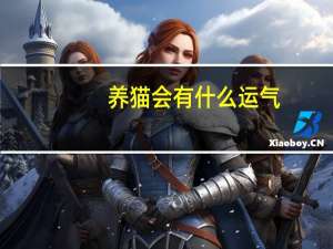 养猫会有什么运气