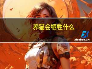 养猫会牺牲什么