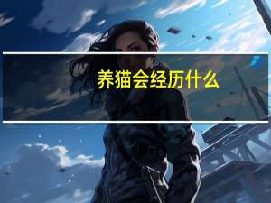 养猫会经历什么