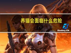 养猫会面临什么危险