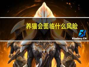 养猫会面临什么风险