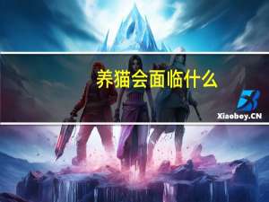 养猫会面临什么