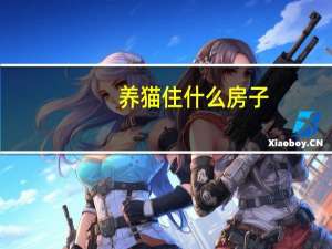 养猫住什么房子