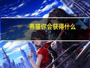 养猫你会获得什么