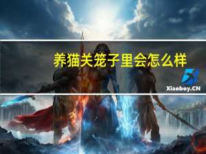 养猫关笼子里会怎么样