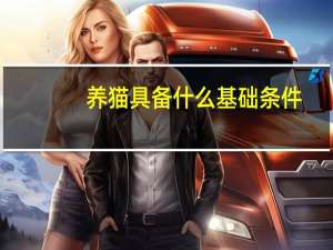 养猫具备什么基础条件