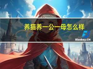 养猫养一公一母怎么样