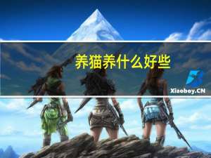 养猫养什么好些