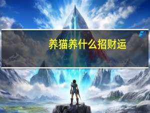 养猫养什么招财运