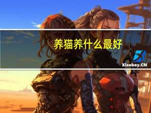 养猫养什么最好