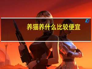 养猫养什么比较便宜