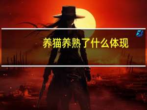 养猫养熟了什么体现