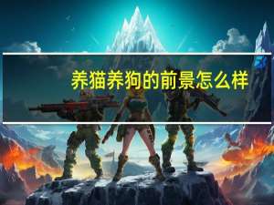 养猫养狗的前景怎么样