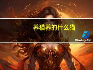 养猫养的什么猫