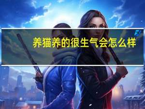 养猫养的很生气会怎么样