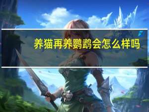 养猫再养鹦鹉会怎么样吗