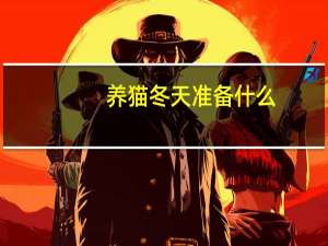 养猫冬天准备什么