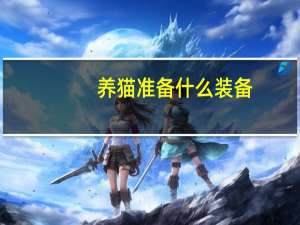 养猫准备什么装备