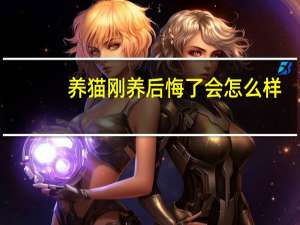 养猫刚养后悔了会怎么样