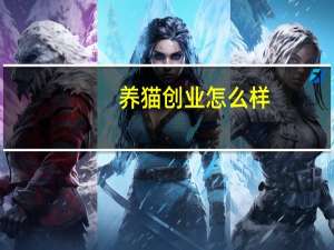 养猫创业怎么样