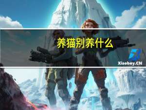 养猫别养什么