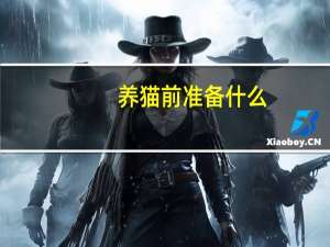 养猫前准备什么