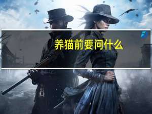 养猫前要问什么