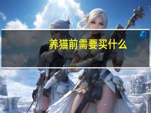 养猫前需要买什么