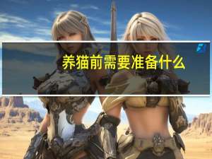 养猫前需要准备什么