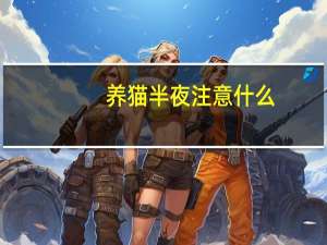 养猫半夜注意什么