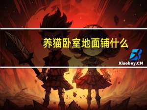 养猫卧室地面铺什么