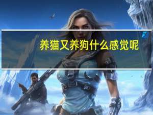 养猫又养狗什么感觉呢