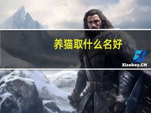 养猫取什么名好