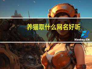 养猫取什么网名好听