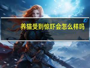 养猫受到惊吓会怎么样吗