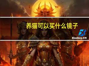 养猫可以买什么镜子