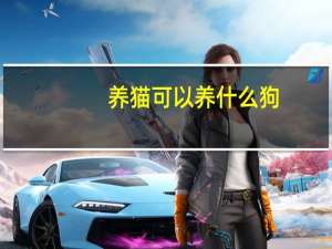 养猫可以养什么狗