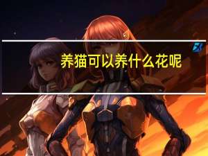 养猫可以养什么花呢