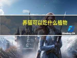 养猫可以吃什么植物