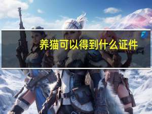 养猫可以得到什么证件