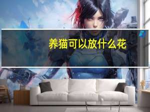养猫可以放什么花