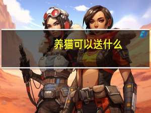 养猫可以送什么