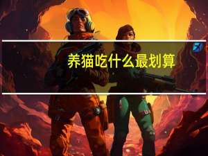 养猫吃什么最划算