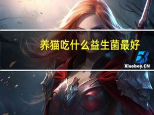 养猫吃什么益生菌最好