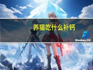 养猫吃什么补钙