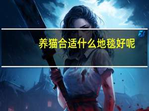养猫合适什么地毯好呢