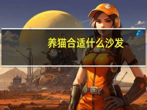 养猫合适什么沙发