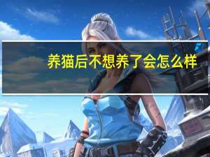 养猫后不想养了会怎么样